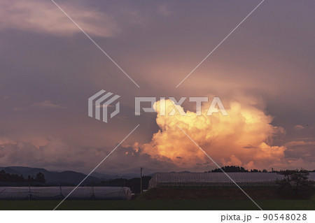 210713上野平z006 210713上野平z006 90548028