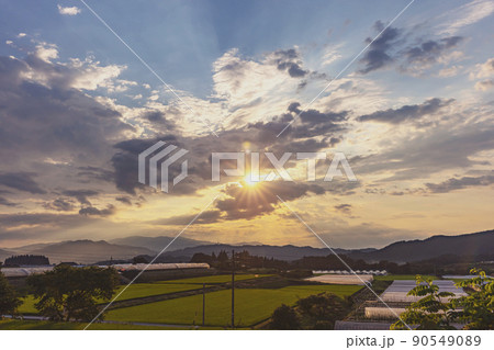 210719上野平z007 210719上野平z007 90549089