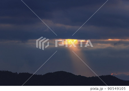 210717上野平g004 210717上野平g004 90549105