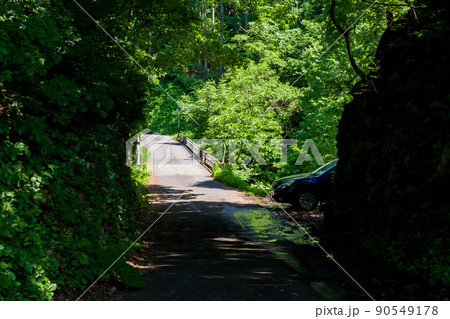 【国道157号】車と掘割区間と谷に架かる橋 【国道157号】車と掘割区間と谷に架かる橋 90549178