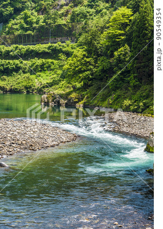 《岐阜県》郡上市　長良川 90549354