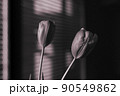 モノクロームのチューリップの室内イメージ 90549862