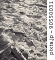 貝殻がたくさん落ちている、砂浜のモノクロイメージ 90550031