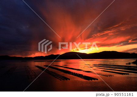 目を奪われた瀬戸内の光景 90551161