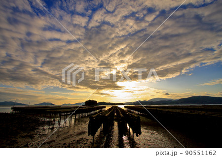 逆光に浮かび上がる 牡蠣抑制棚 90551162