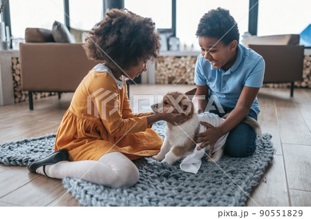 Children enjoying time with their puppy Children enjoying time with their puppy 90551829