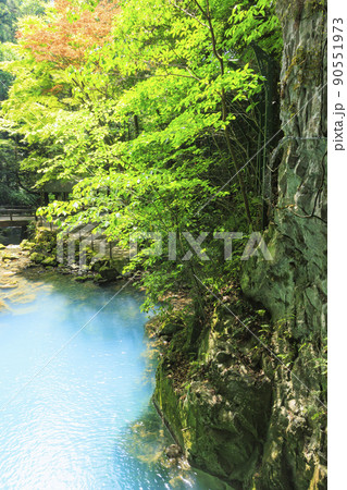 秋芳洞 秋芳洞 90551973