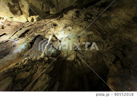 秋芳洞 秋芳洞 90552018