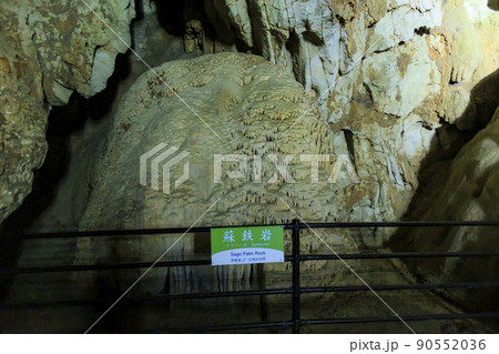 秋芳洞 秋芳洞 90552036