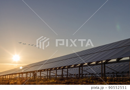Solar panels against sky. Solar power plant. Solar farm. Copy space, beautiful sunset. Solar panels against sky. Solar power plant. Solar farm. Copy space, beautiful sunset. 90552551