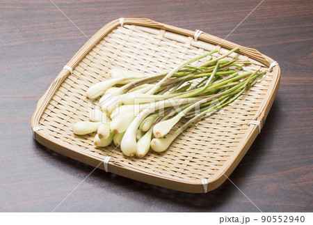 エシャレット らっきょう 根ラッキョウ エシャロット 穫れたて野菜 健康野菜 エシャレット らっきょう 根ラッキョウ エシャロット 穫れたて野菜 健康野菜 90552940