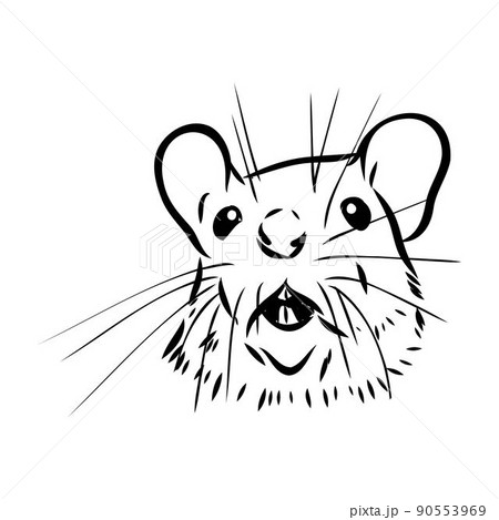 Rat sketch drawn by hand. Black and white vector illustration. Rat sketch drawn by hand. Black and white vector illustration. 90553969
