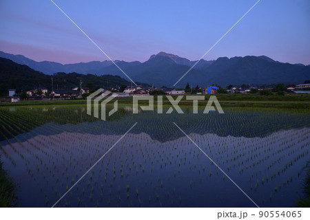 北杜市白州町、明け行く甲斐駒を映す田植えの済んだ水田 90554065