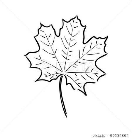 maple leaf outline clipart