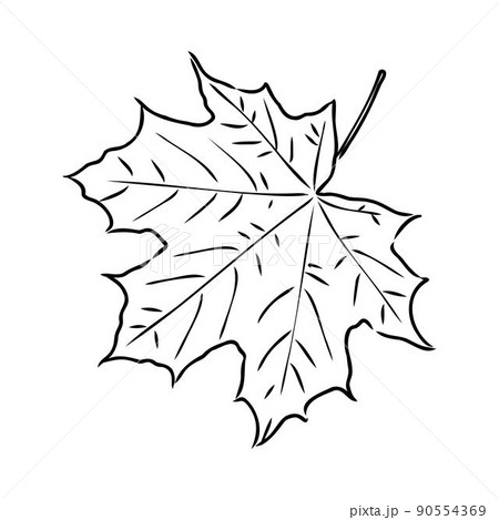 clipart maple leaf white