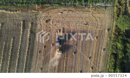 Harvest time in agriculture with equipment Harvest time in agriculture with equipment 90557324
