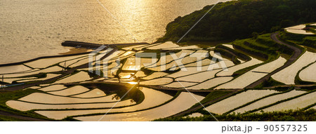 土谷棚田の夕陽 パノラマ 【長崎県松浦市】 土谷棚田の夕陽 パノラマ 【長崎県松浦市】 90557325