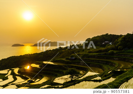 土谷棚田の夕陽 【長崎県松浦市】 土谷棚田の夕陽 【長崎県松浦市】 90557381
