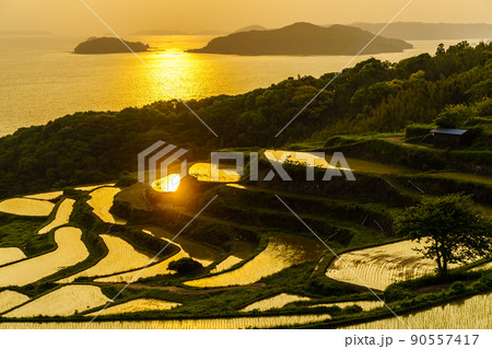 土谷棚田の夕陽　【長崎県松浦市】 90557417