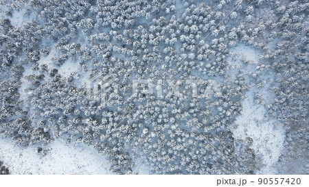 Winter forest snow aerial view 90557420