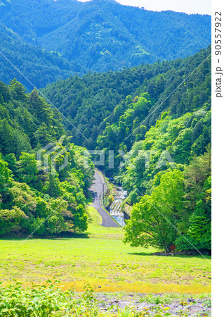 有馬ダム 名栗湖 ダム下の眺め 春 新緑の風景 有馬ダム 名栗湖 ダム下の眺め 春 新緑の風景 90557922