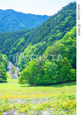 有馬ダム 名栗湖 ダム下の眺め 春 新緑の風景 有馬ダム 名栗湖 ダム下の眺め 春 新緑の風景 90557945