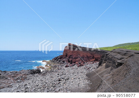 三宅島　新鼻新山 90558077