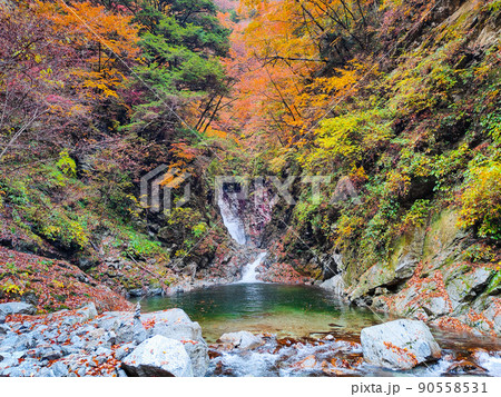 尾白川渓谷(秋):千ヶ淵 尾白川渓谷(秋):千ヶ淵 90558531