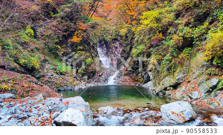 尾白川渓谷(秋):千ヶ淵 尾白川渓谷(秋):千ヶ淵 90558533