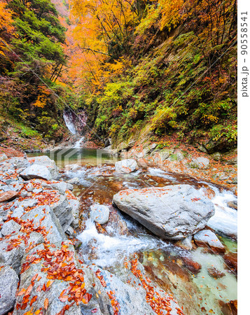 尾白川渓谷（秋）：千ヶ淵 90558541