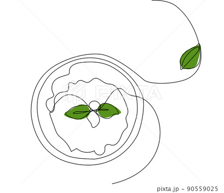 Minimal skin care concept natural herbal remedies 90559025