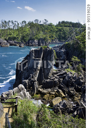 21972　唐桑半島　巨釜 90559029