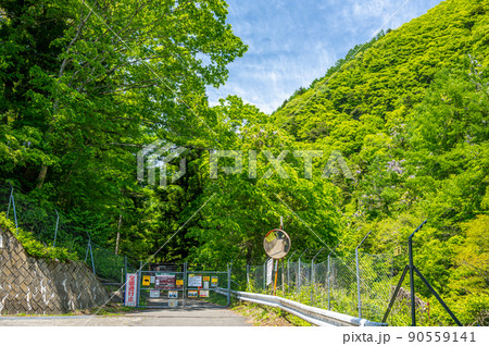 徳本峠登山口　登山道 90559141