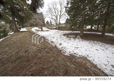 戸切地陣屋跡に残る稜堡土塁 90559274