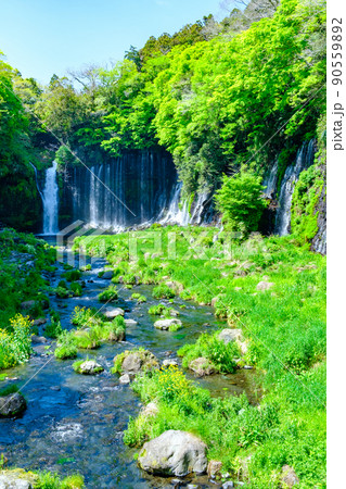 白糸の滝(富士宮市) 白糸の滝(富士宮市) 90559892