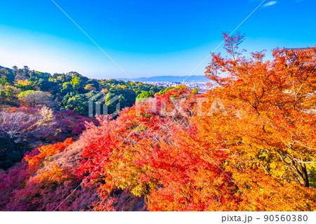 清水寺境内の紅葉と京都の街並 清水寺境内の紅葉と京都の街並 90560380
