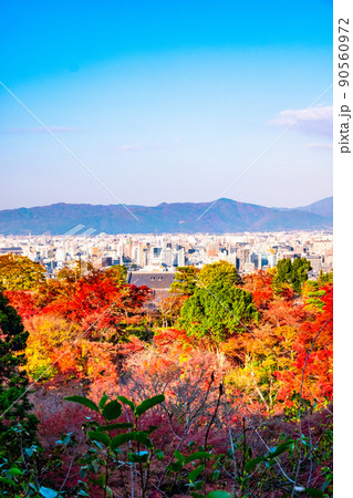 清水寺境内の紅葉と京都の街並 90560972
