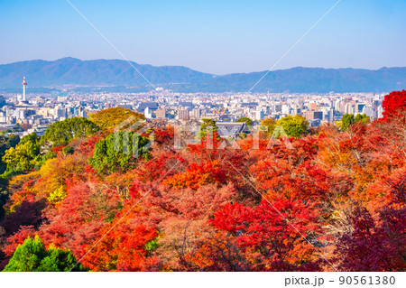 清水寺境内の紅葉と京都の街並 清水寺境内の紅葉と京都の街並 90561380