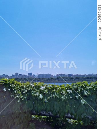ソウル 空 昼 90562431