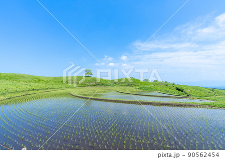 《熊本県》扇棚田 産山村 《熊本県》扇棚田 産山村 90562454