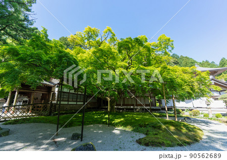 《福岡県》真言宗大覚寺派 雷山千如寺大悲王院(雷山観音) 《福岡県》真言宗大覚寺派 雷山千如寺大悲王院(雷山観音) 90562689
