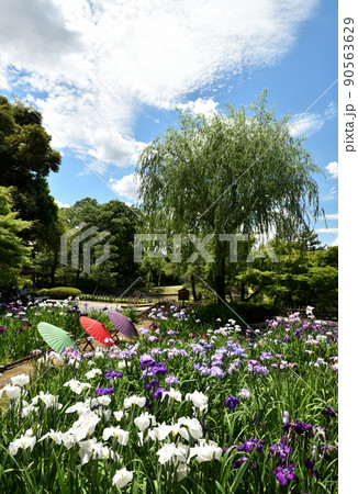 初夏の徳川園 90563629