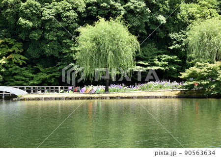 初夏の徳川園 初夏の徳川園 90563634