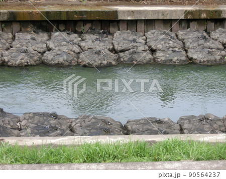 袋詰め玉石工が敷設された川岸 袋詰め玉石工が敷設された川岸 90564237