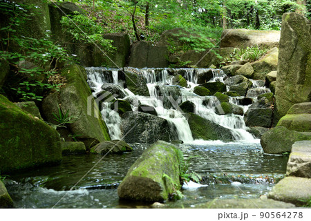 初夏の徳川園 初夏の徳川園 90564278
