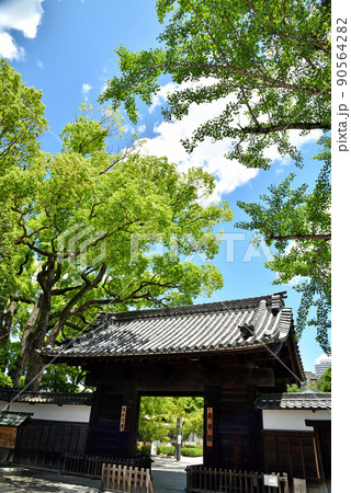 初夏の徳川園 90564282
