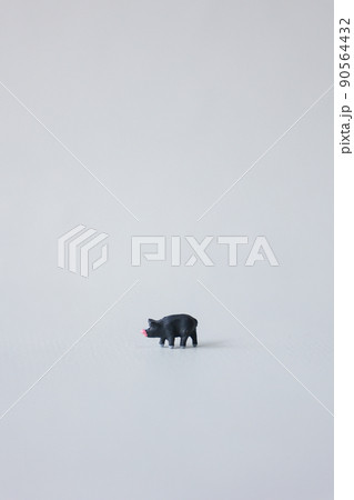 ブタ（黒豚） 90564432