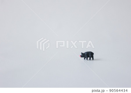 ブタ（黒豚） 90564434