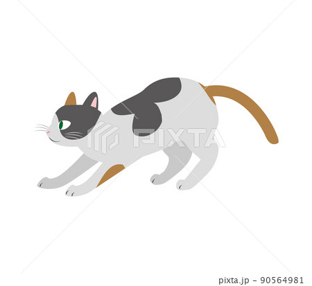 遊びに誘うかわいい三毛猫 遊びに誘うかわいい三毛猫 90564981