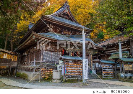 秋の信州上田　紅葉の別所温泉（信州の鎌倉）　北向観音 90565060